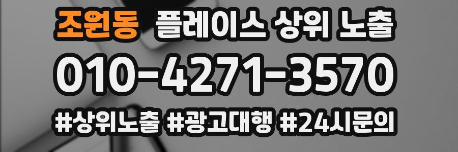 조원동 플레이스 상위 노출