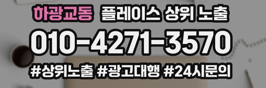 하광교동 플레이스 상위 노출