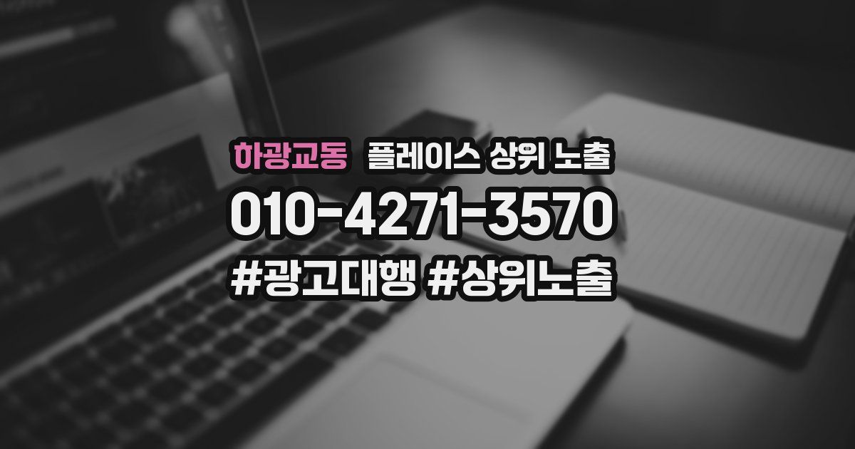 하광교동 플레이스 상위 노출