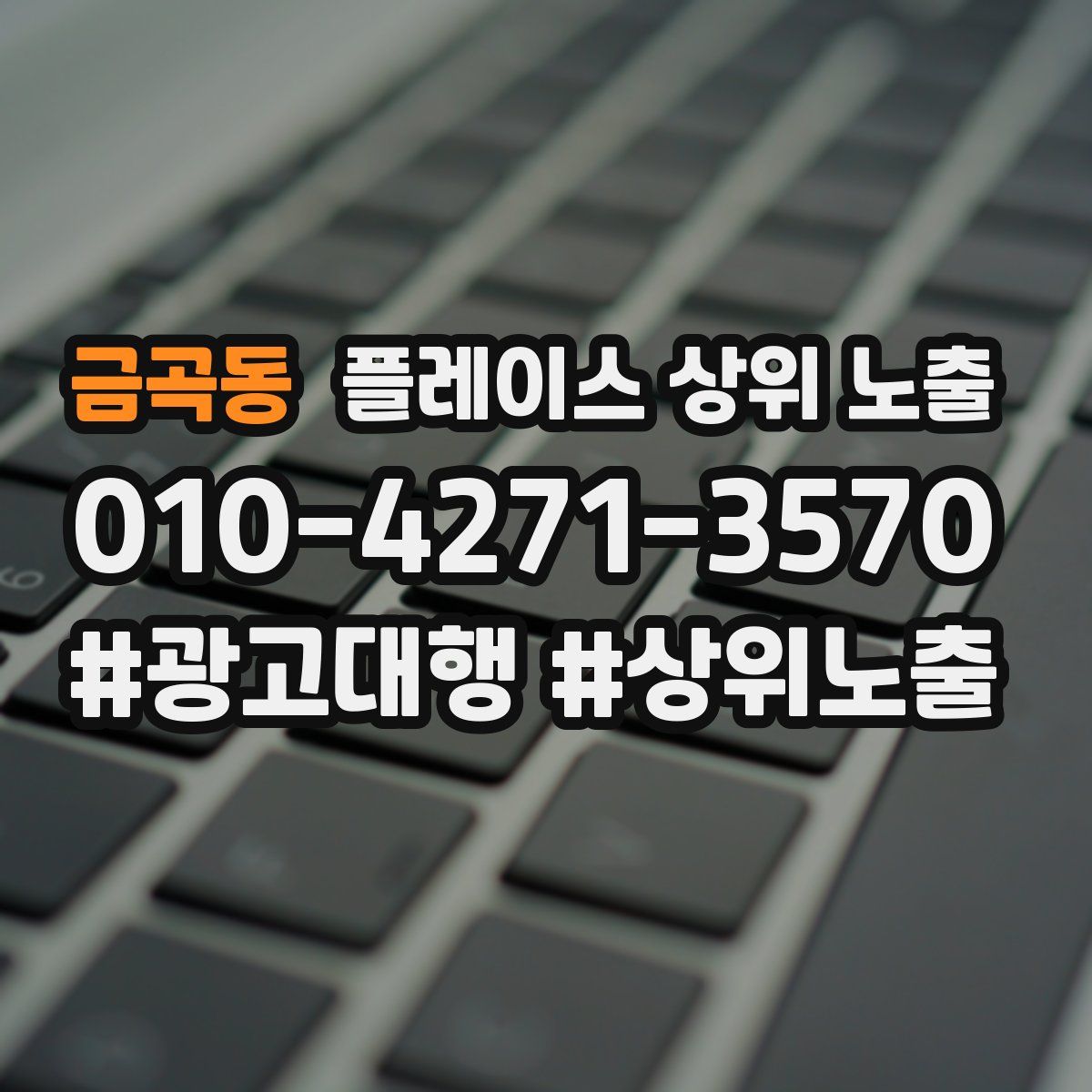 금곡동 플레이스 상위 노출
