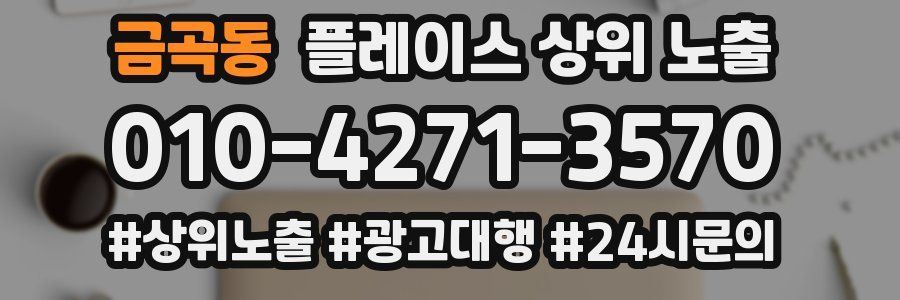 금곡동 플레이스 상위 노출