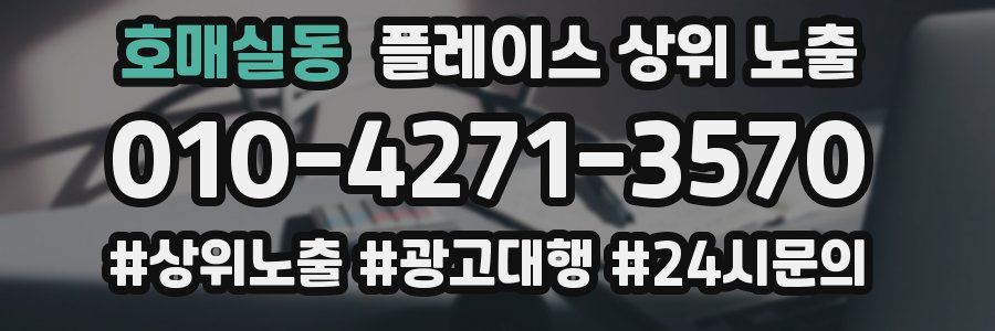 호매실동 플레이스 상위 노출