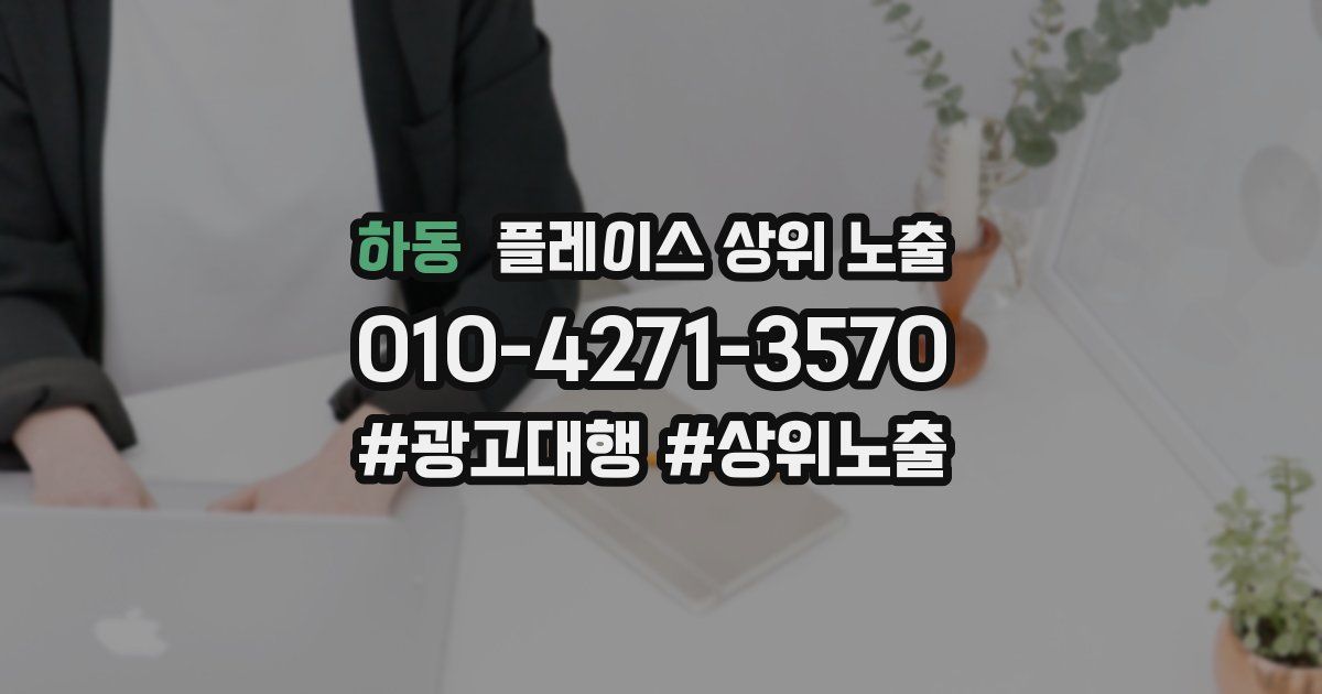하동 플레이스 상위 노출