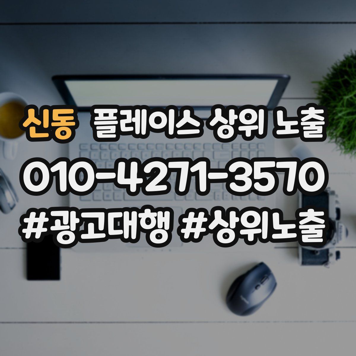 신동 플레이스 상위 노출