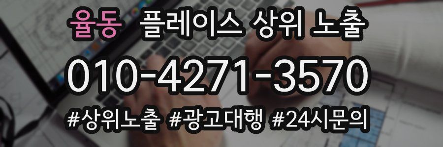 율동 플레이스 상위 노출
