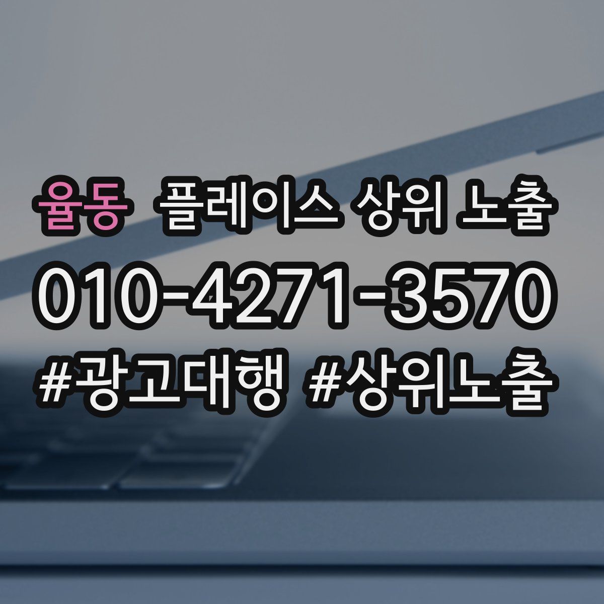 율동 플레이스 상위 노출