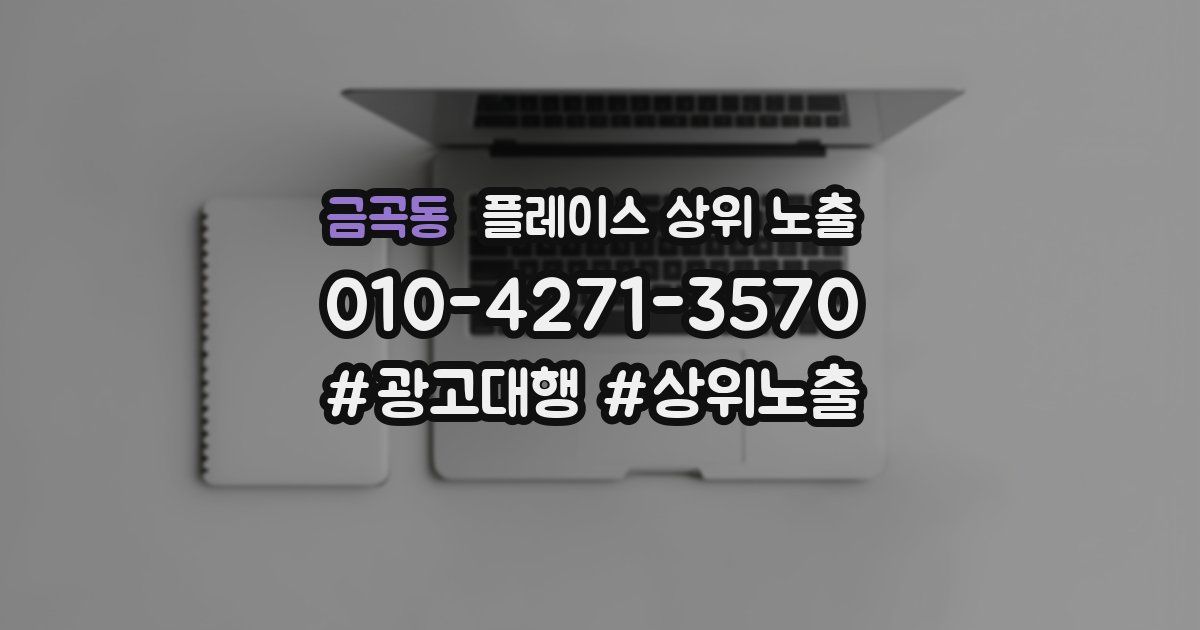 금곡동 플레이스 상위 노출