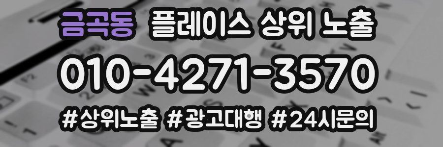 금곡동 플레이스 상위 노출