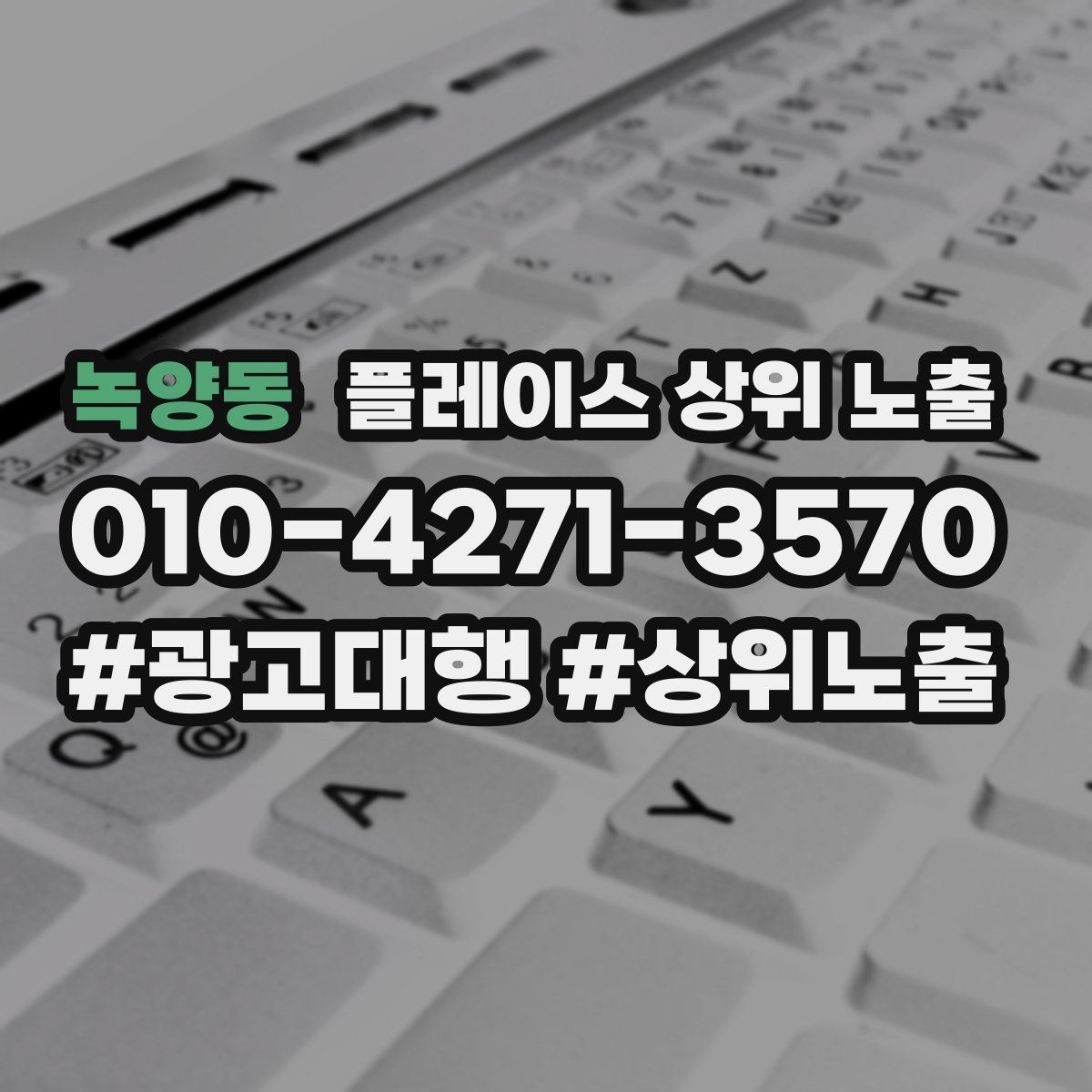 녹양동 플레이스 상위 노출