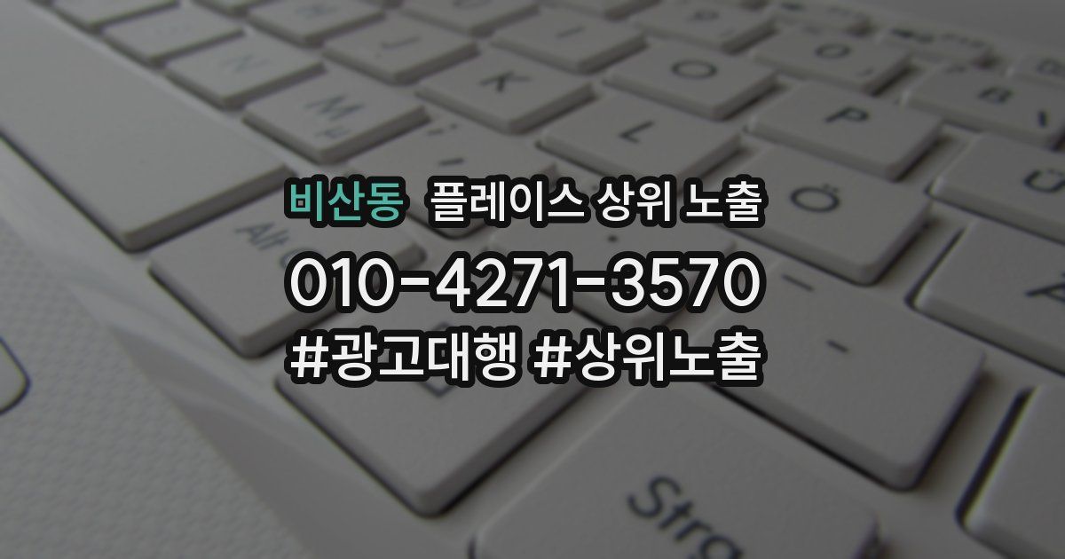 비산동 플레이스 상위 노출