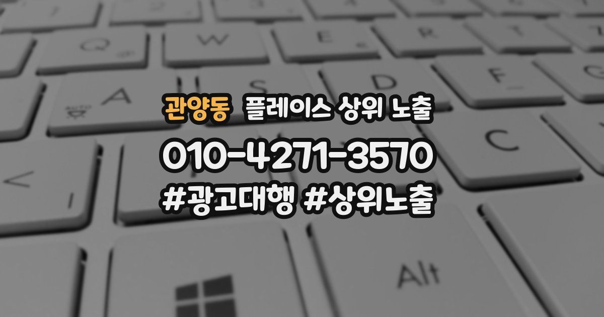 관양동 플레이스 상위 노출
