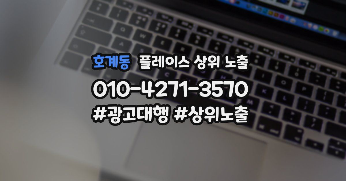 호계동 플레이스 상위 노출
