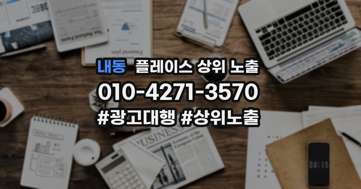 내동 플레이스 상위 노출