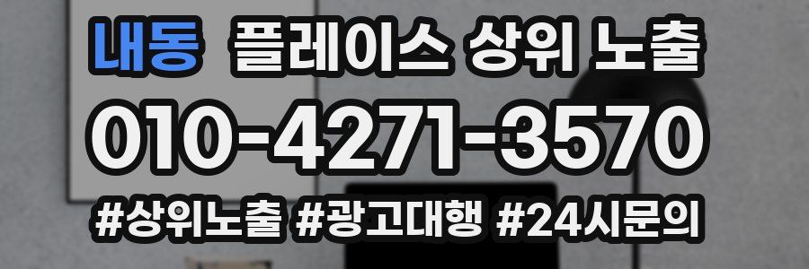 내동 플레이스 상위 노출