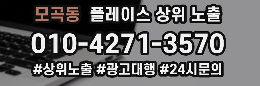 모곡동 플레이스 상위 노출