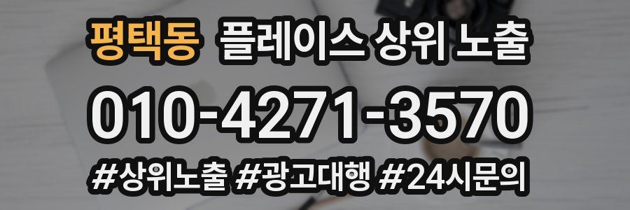 평택동 플레이스 상위 노출