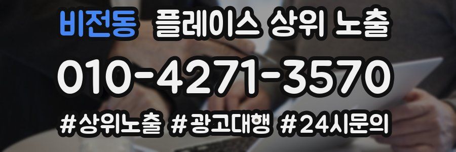 비전동 플레이스 상위 노출