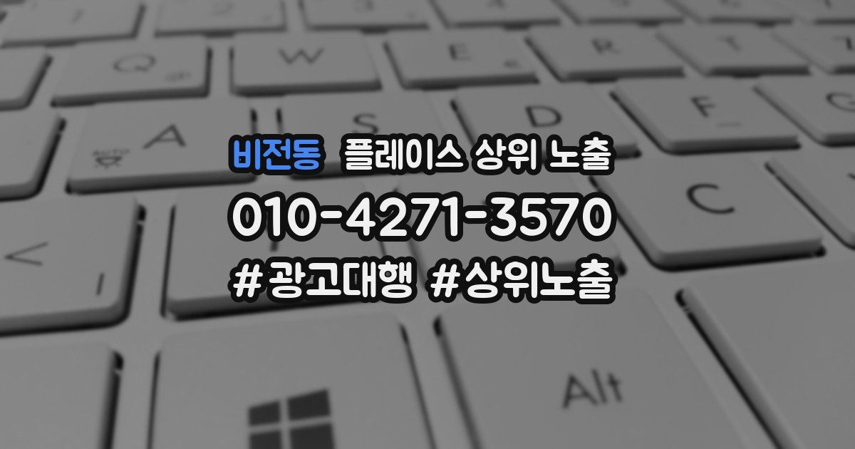 비전동 플레이스 상위 노출