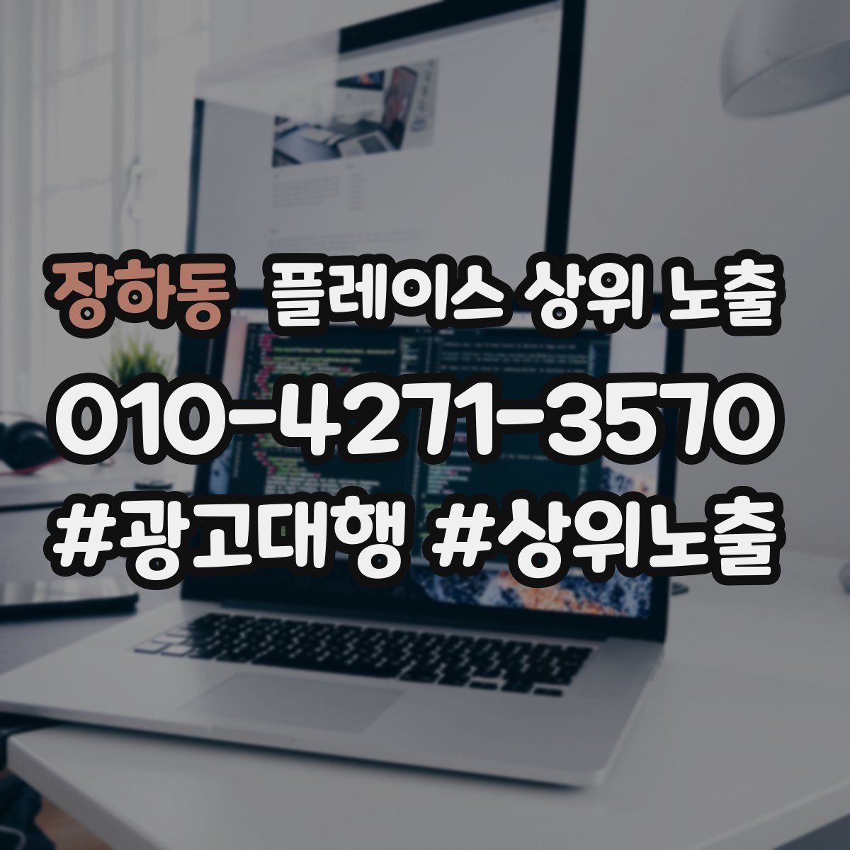 장하동 플레이스 상위 노출