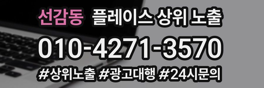 선감동 플레이스 상위 노출