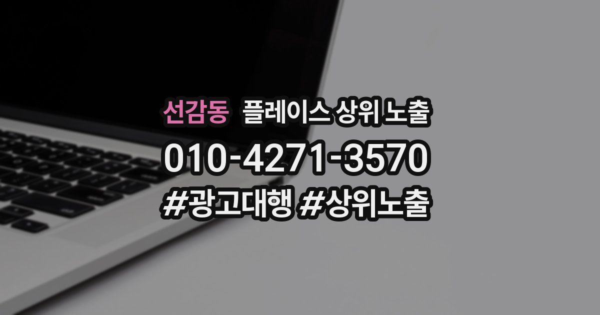 선감동 플레이스 상위 노출