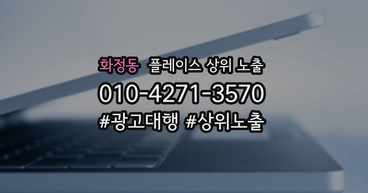 화정동 플레이스 상위 노출
