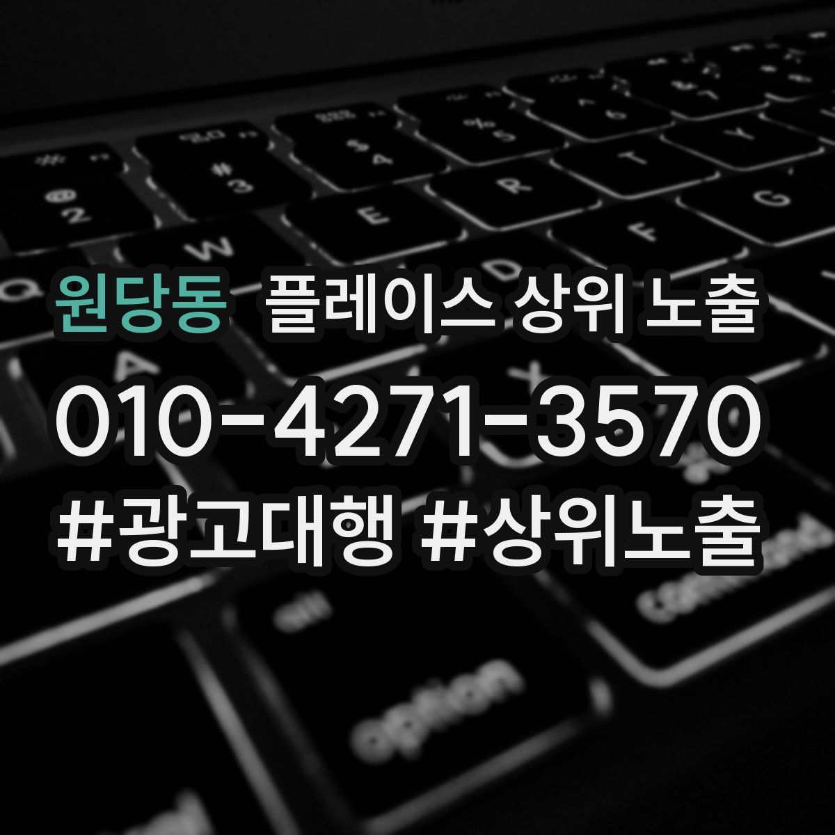 원당동 플레이스 상위 노출
