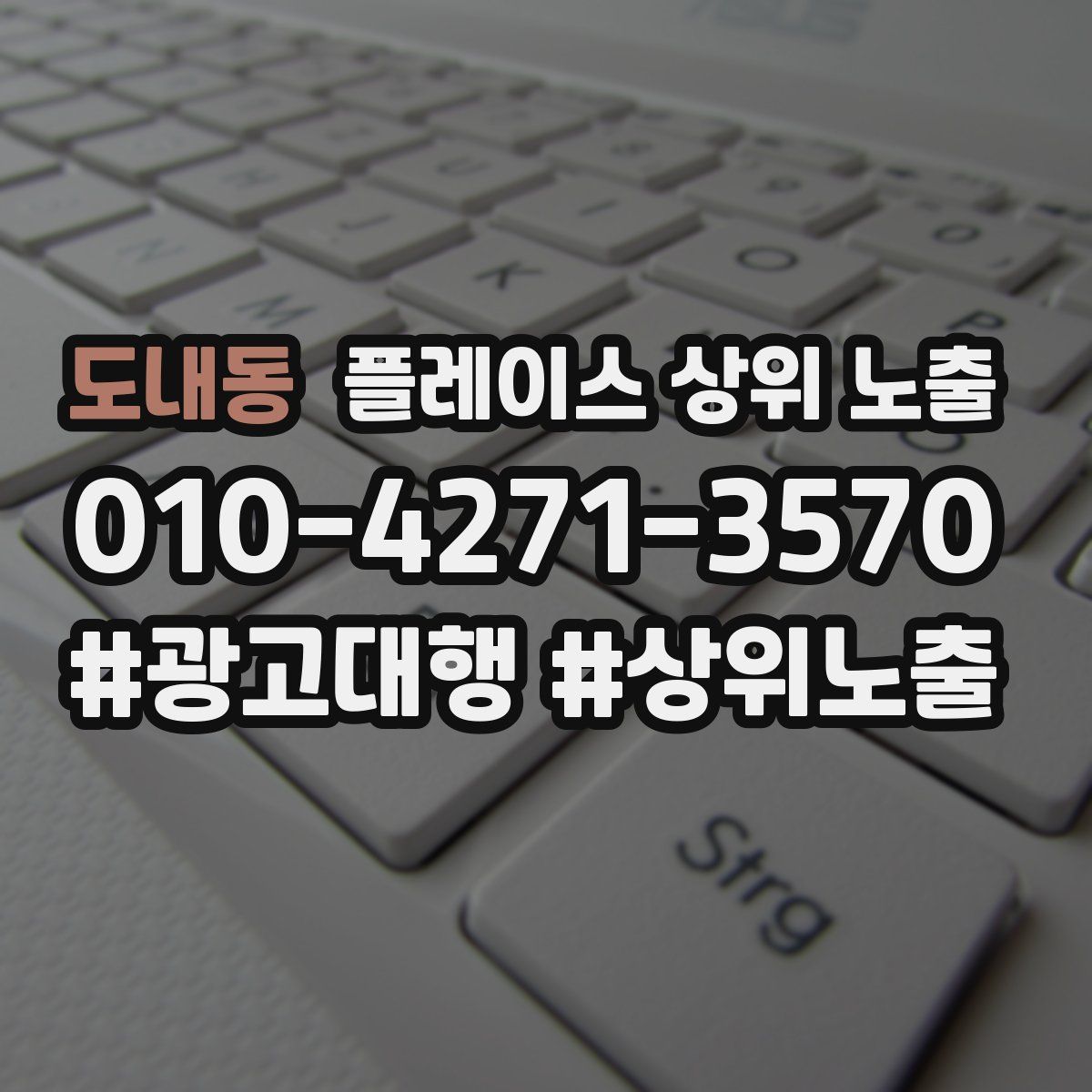 도내동 플레이스 상위 노출