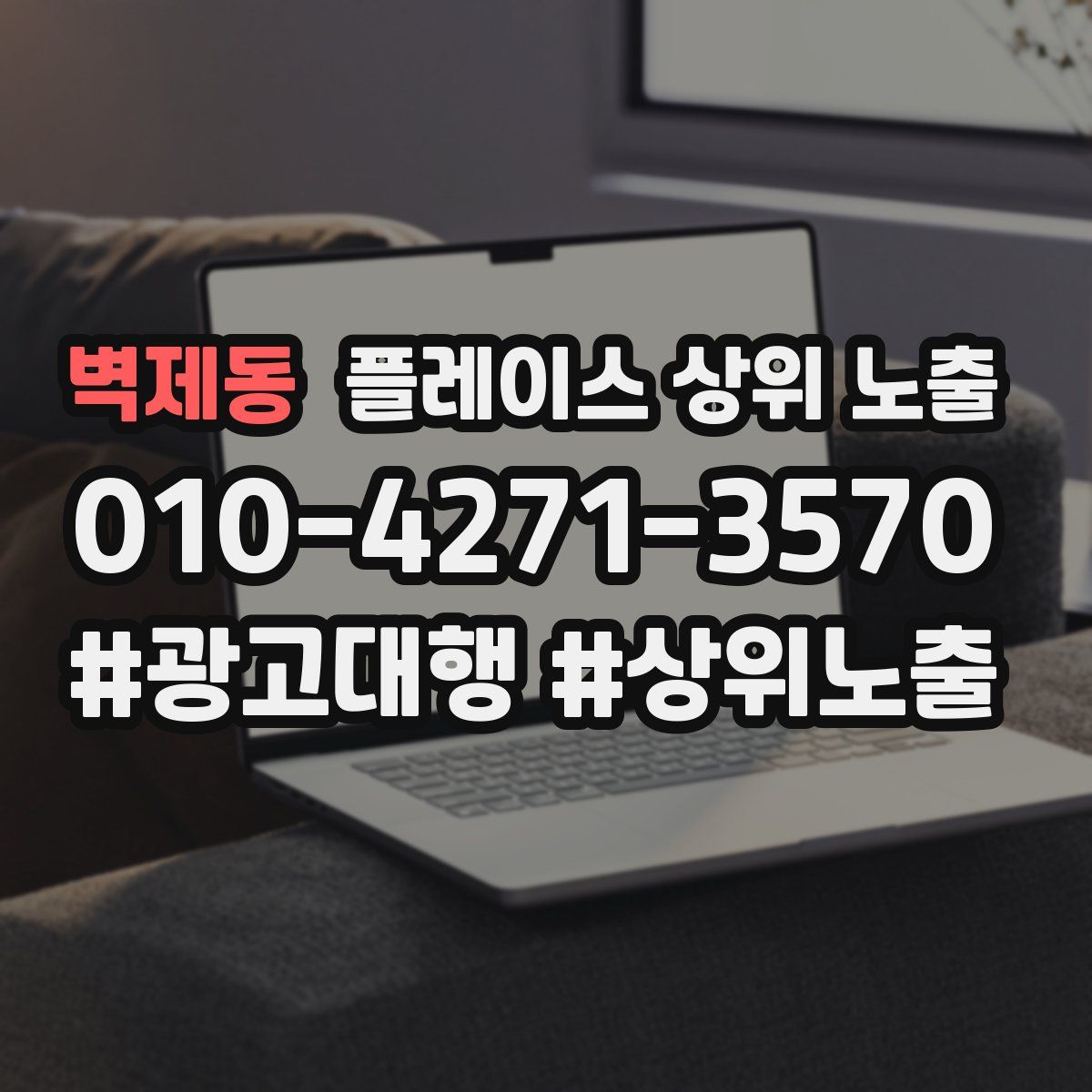 벽제동 플레이스 상위 노출