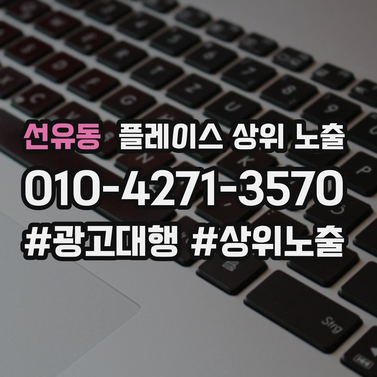 선유동 플레이스 상위 노출