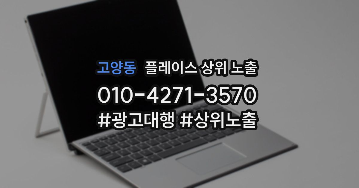 고양동 플레이스 상위 노출