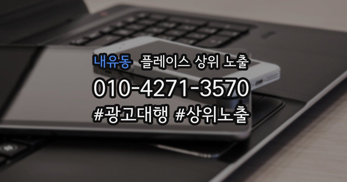 내유동 플레이스 상위 노출