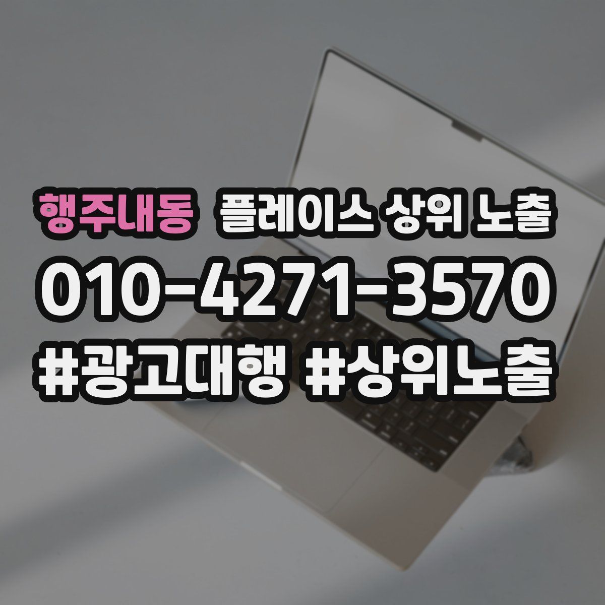 행주내동 플레이스 상위 노출