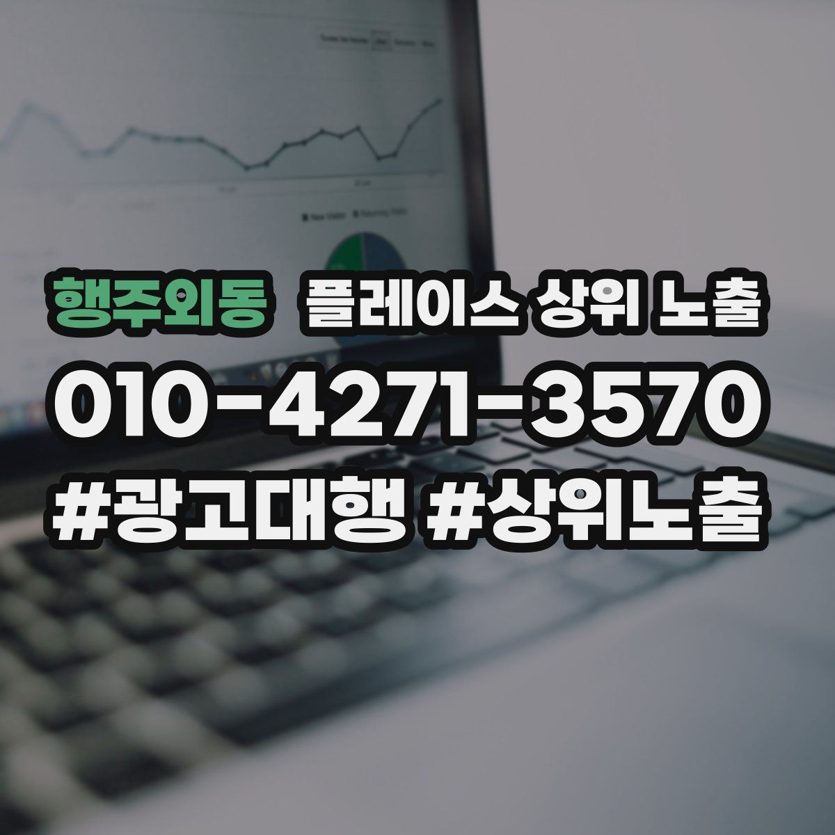 행주외동 플레이스 상위 노출