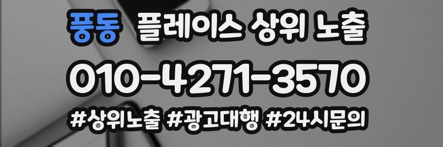 풍동 플레이스 상위 노출