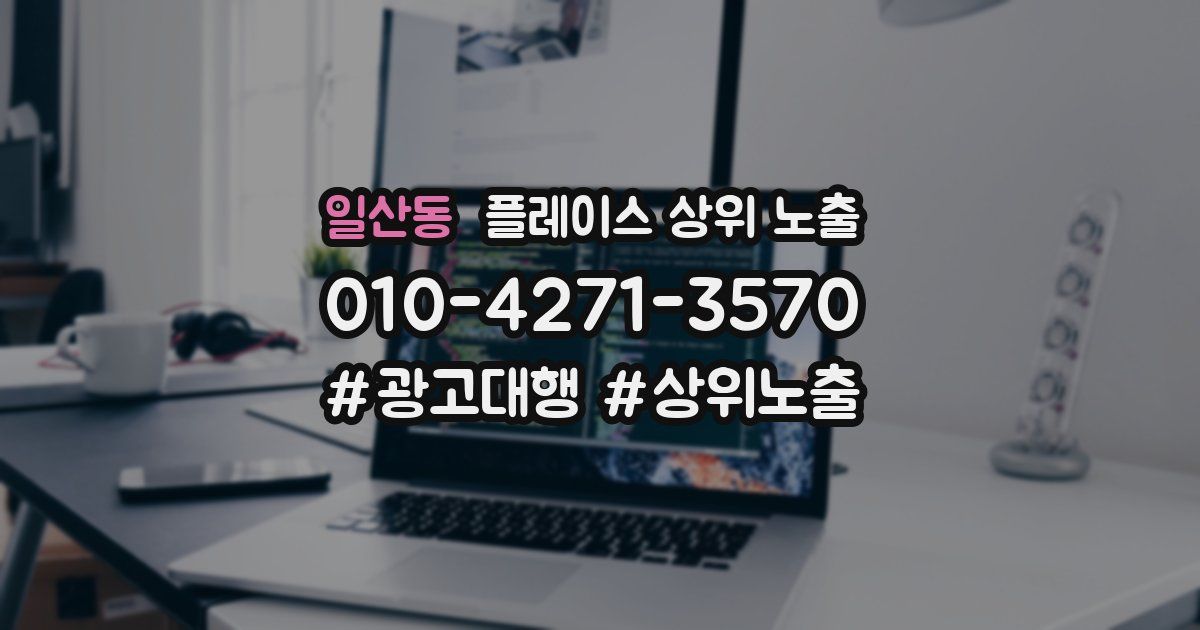 일산동 플레이스 상위 노출