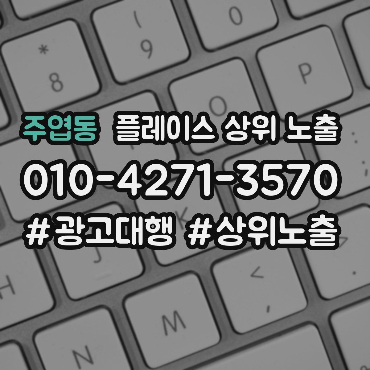 주엽동 플레이스 상위 노출