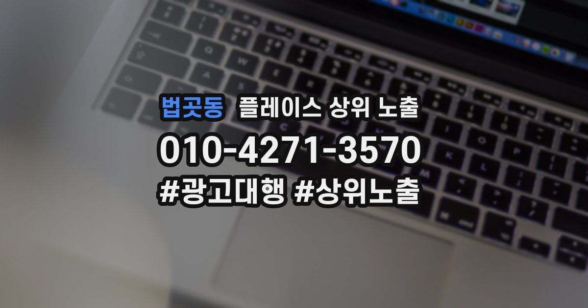 법곳동 플레이스 상위 노출