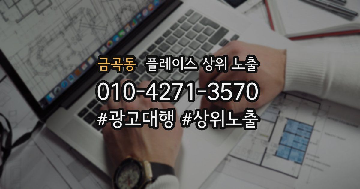 금곡동 플레이스 상위 노출