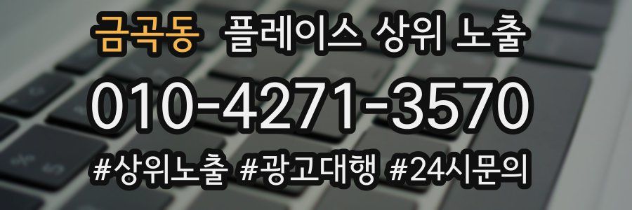 금곡동 플레이스 상위 노출