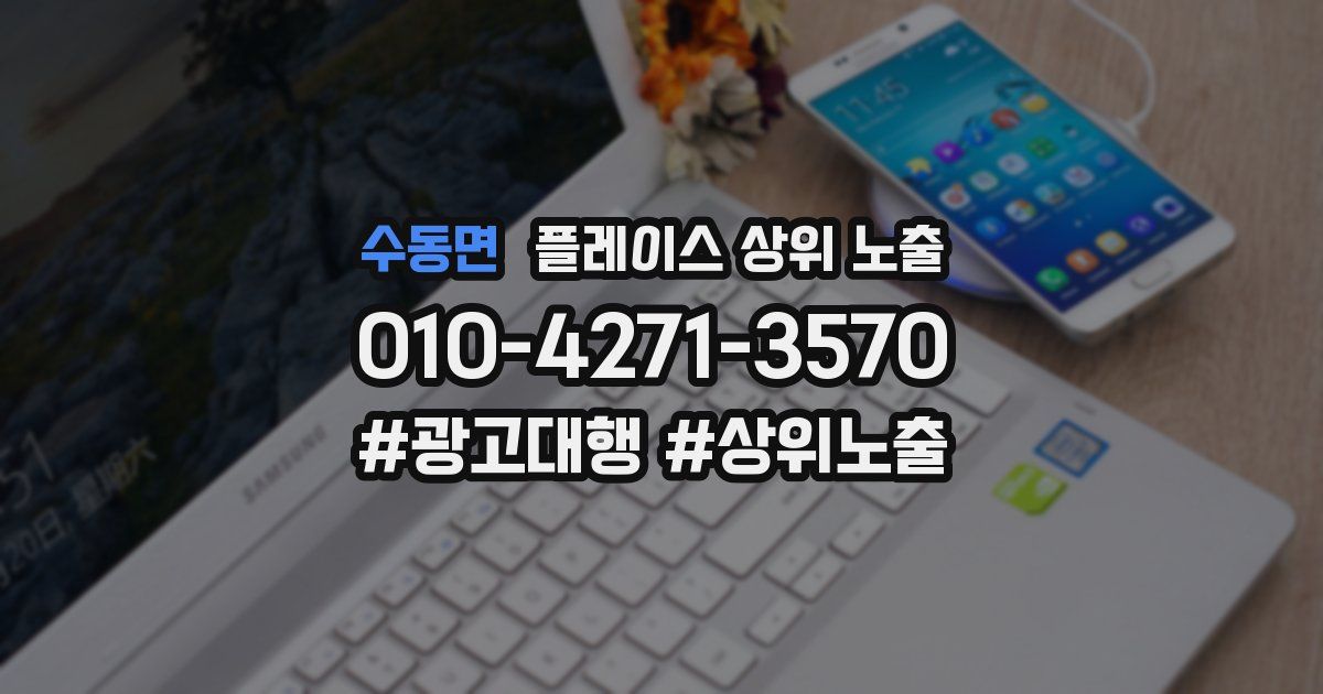 수동면 플레이스 상위 노출