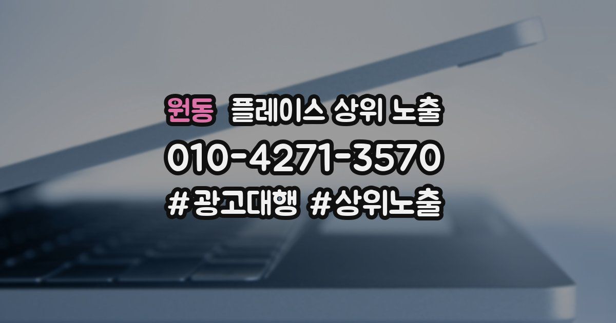 원동 플레이스 상위 노출