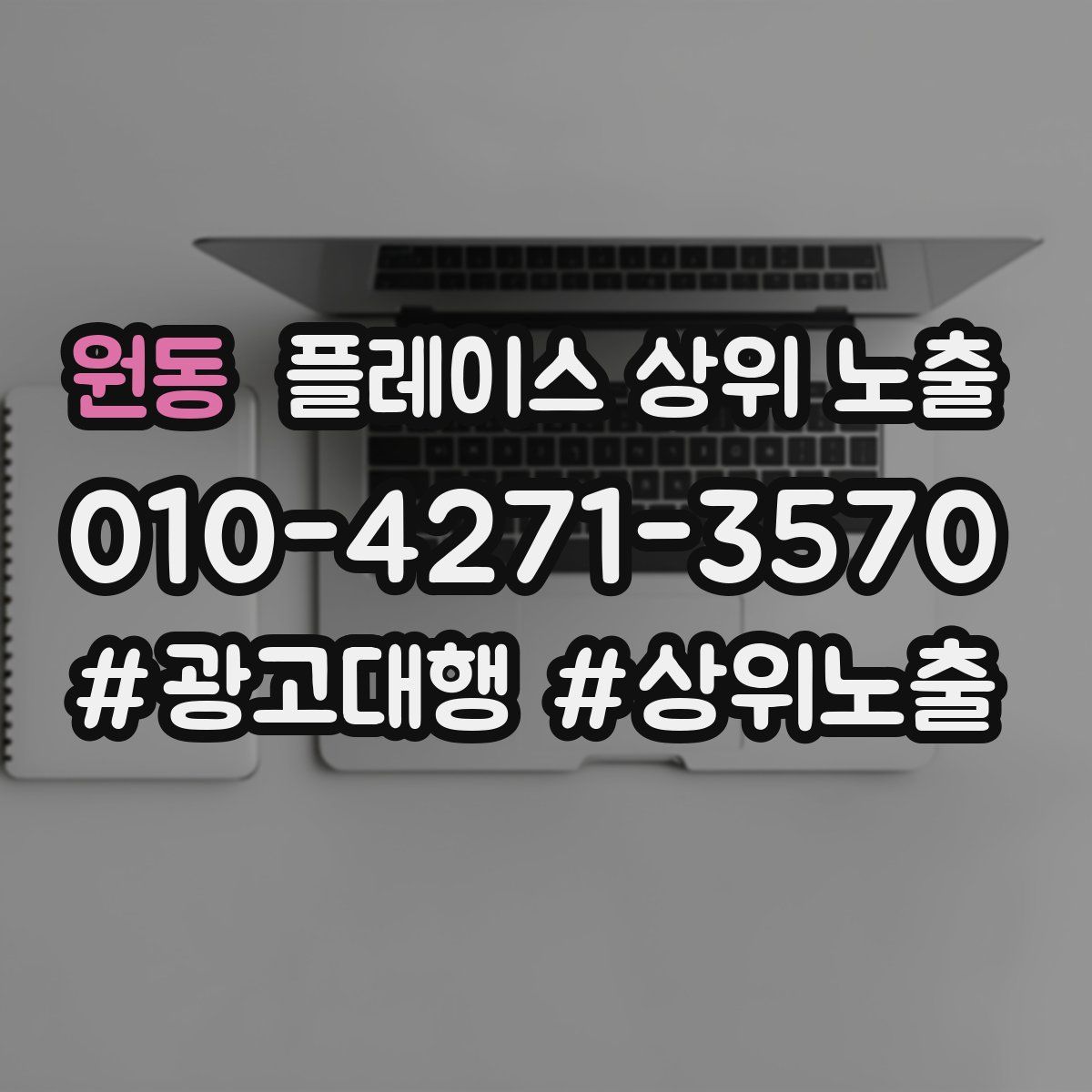 원동 플레이스 상위 노출