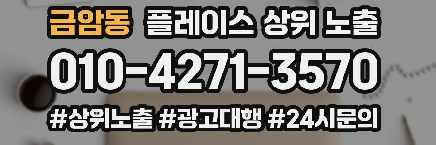 금암동 플레이스 상위 노출