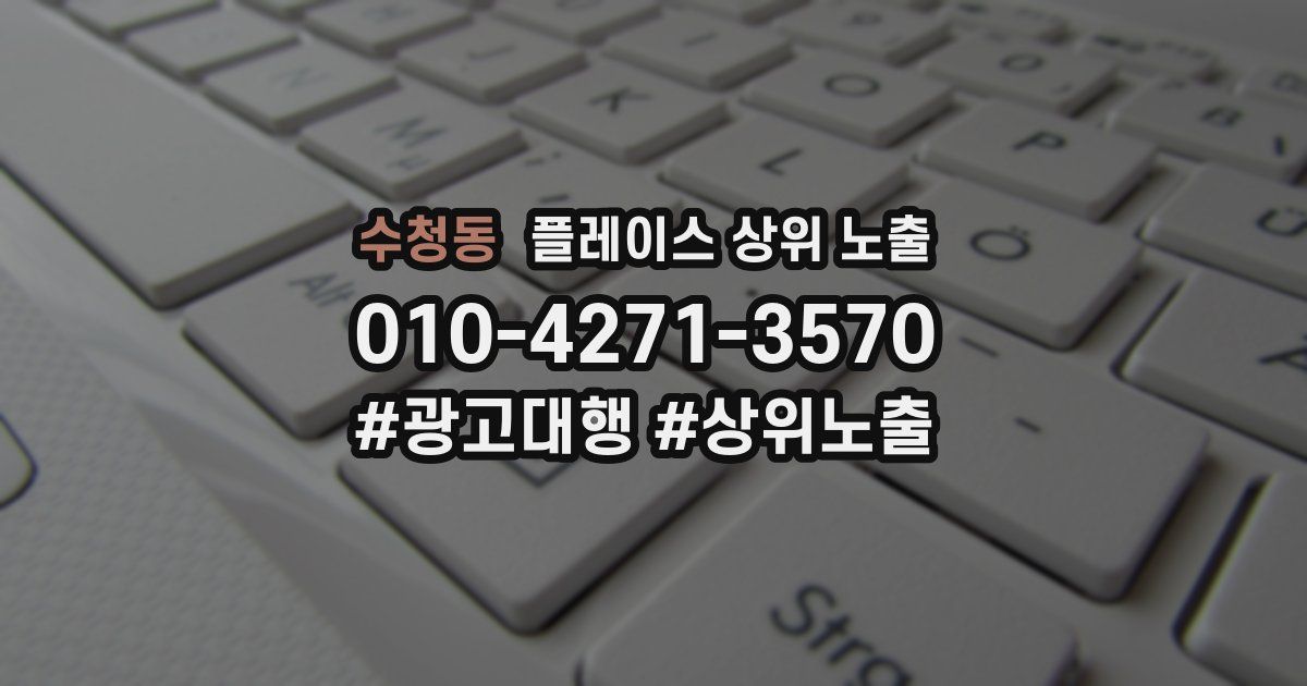 수청동 플레이스 상위 노출