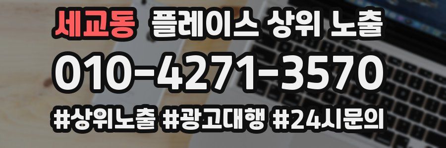 세교동 플레이스 상위 노출