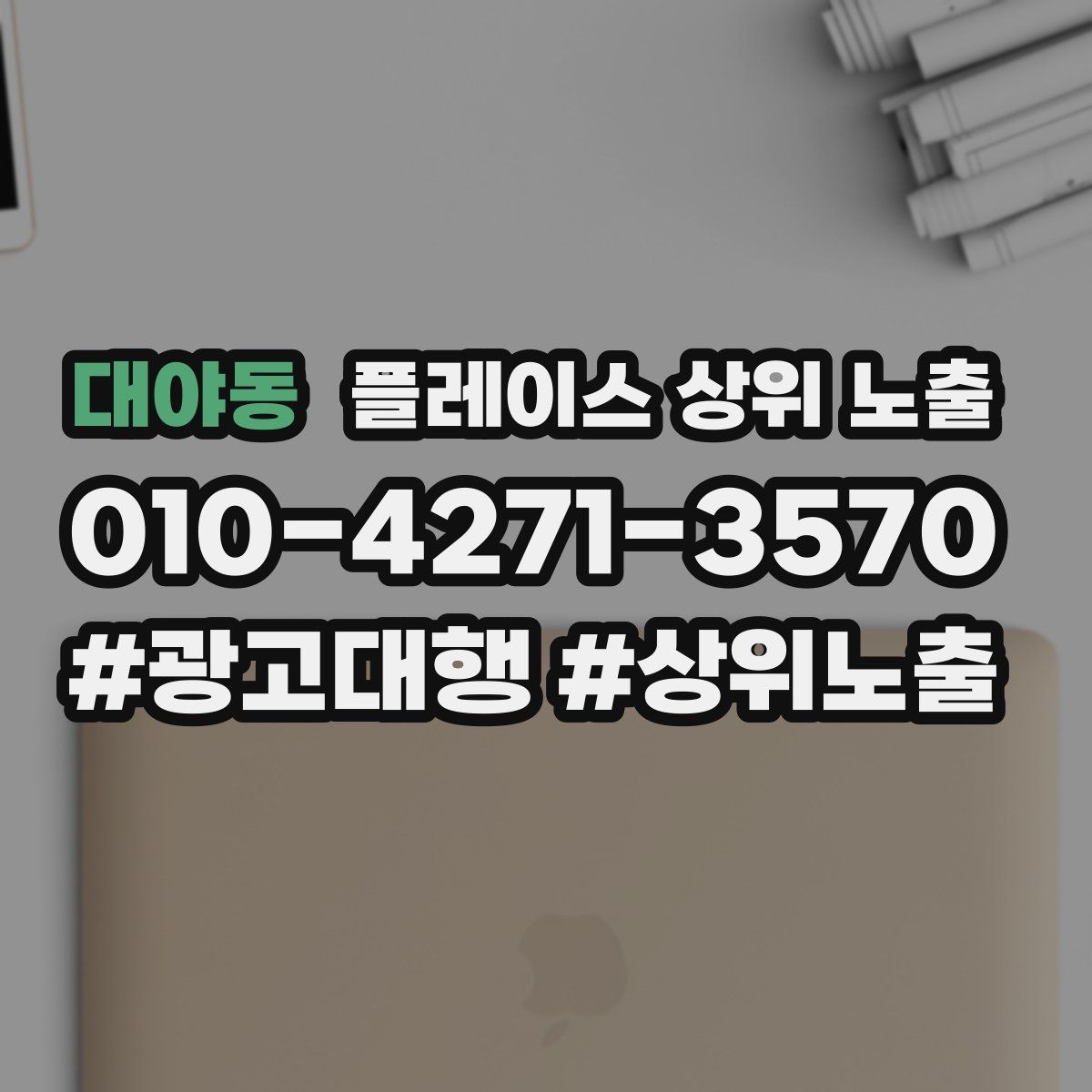 대야동 플레이스 상위 노출