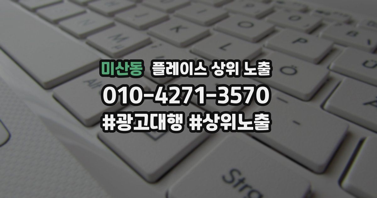 미산동 플레이스 상위 노출