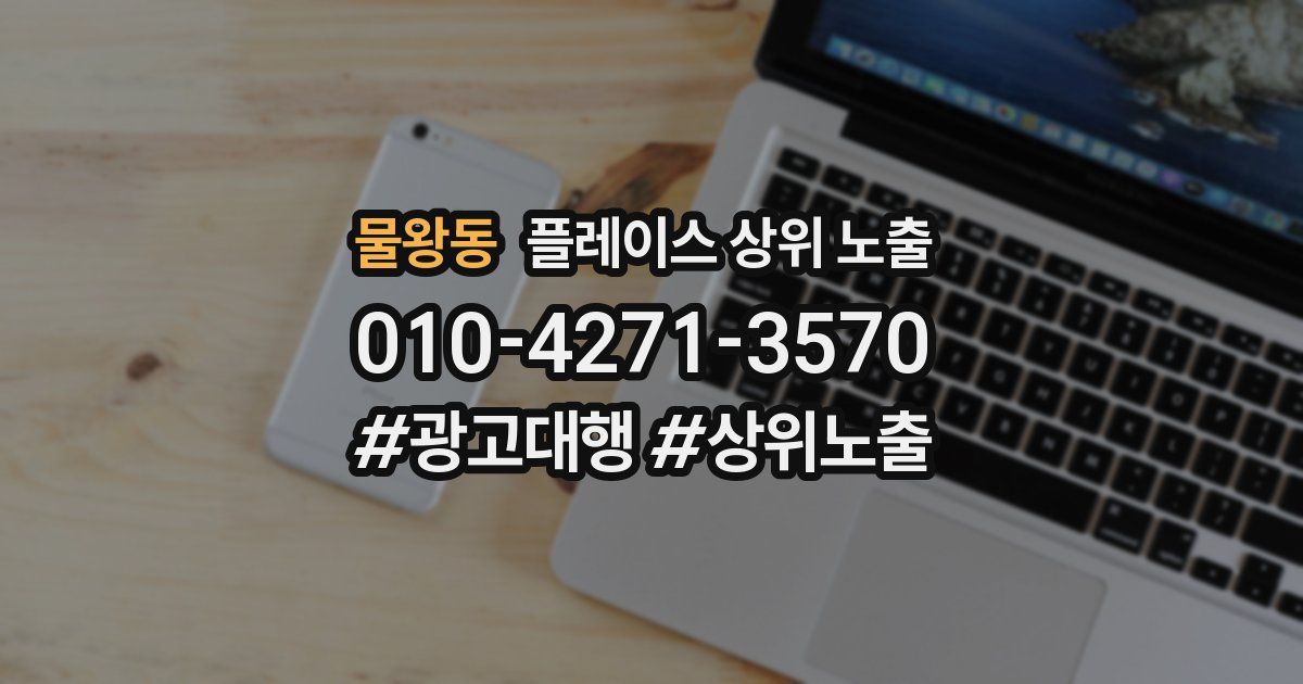 물왕동 플레이스 상위 노출