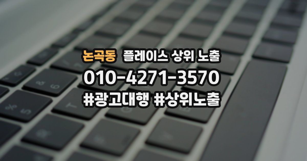 논곡동 플레이스 상위 노출